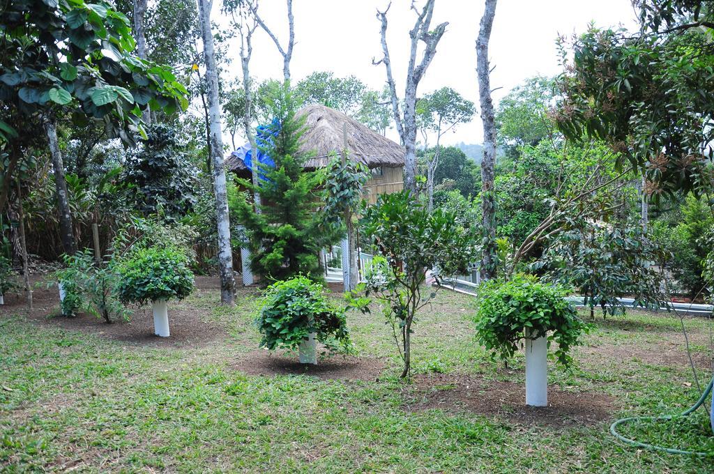 Green Ark Resorts Thekkady Ngoại thất bức ảnh